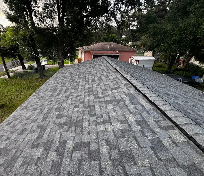 Customer photo: finished ridge of a Tampa re-roof with the neighborhood behind