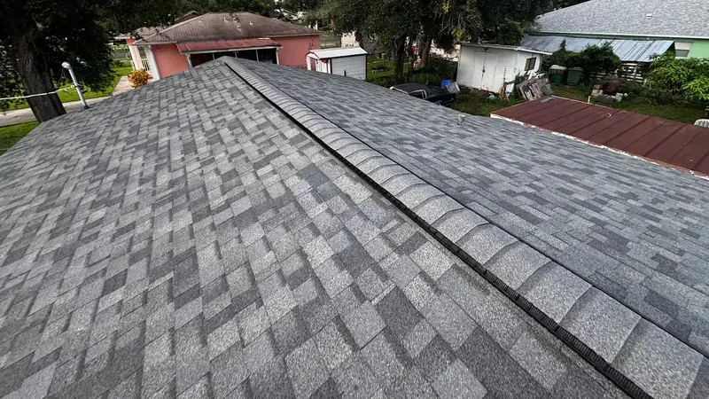 New gray shingle roof with a ridge vent, neighboring Florida homes and trees below