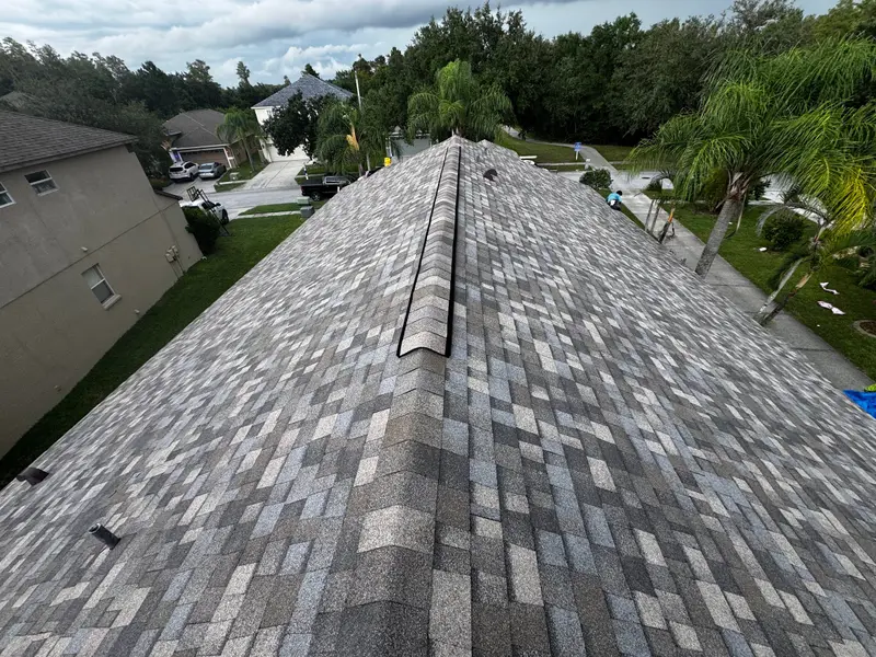 New architectural shingle ridge with a ridge vent, looking down a Tampa Bay subdivision street
