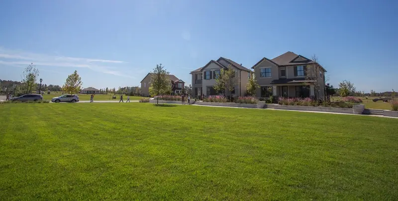 New-build homes with architectural-shingle roofs across a green lawn, Odessa, Florida
